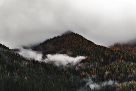 山中迷雾