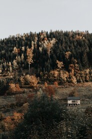 山间
