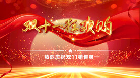 双11
