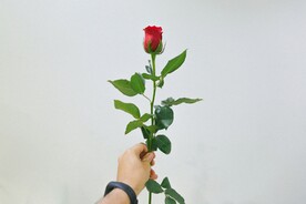 鲜花