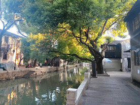 芦墟古镇街景