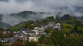 吉野  