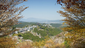 吉野