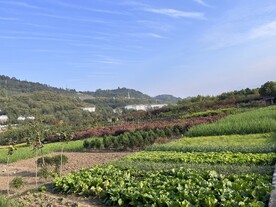 田园风光