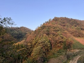 秋季山林