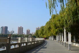 莲花池风景 