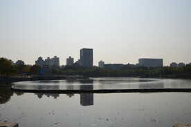 莲花池风景 