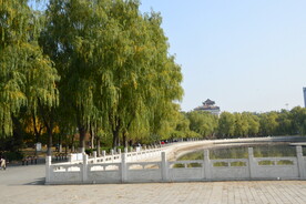 莲花池风景 