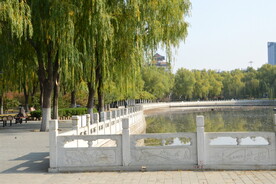 莲花池风景