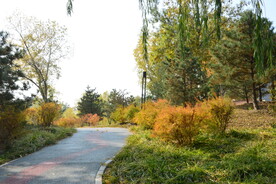 公园风景  
