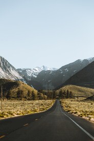 风景