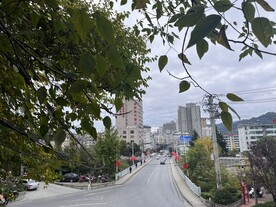 路口
