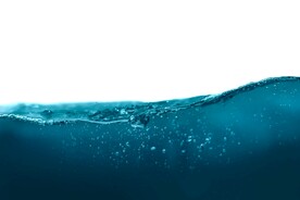 水面水泡