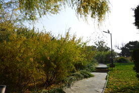 公园风景 
