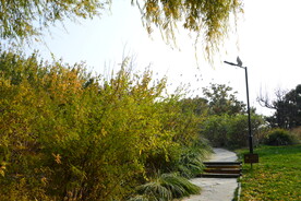 公园风景 