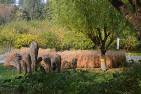 公园风景  