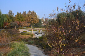 公园风景  