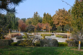 公园风景  
