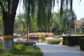 公园风景 