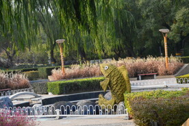 公园风景  