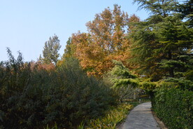 公园风景  