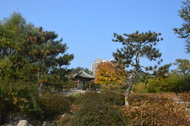 公园风景