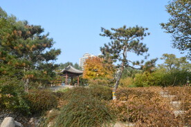公园风景 