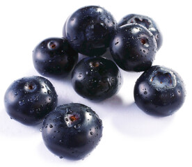 蓝莓