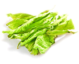 甜菊叶