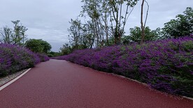 公路