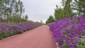 公路