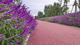 公路