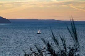 海面