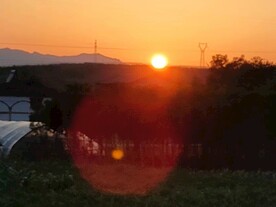 夕阳