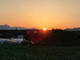 夕阳