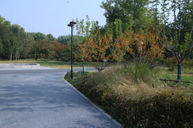 公园风景  