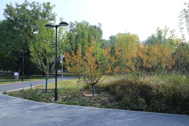 公园风景