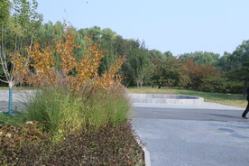 公园风景 