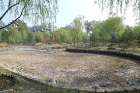 公园风景  