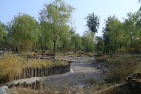 公园风景  