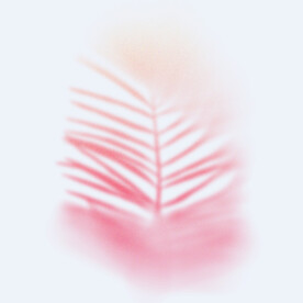 幻彩植物模糊渐变 