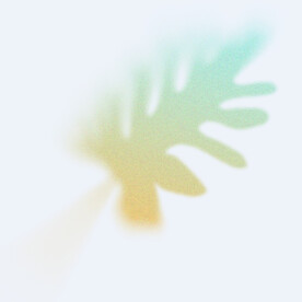 幻彩植物模糊渐变 