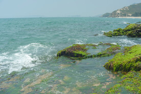 海边