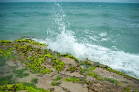 浪花