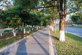 远方的路