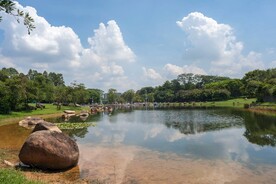 中心公园