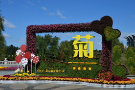 公园风景