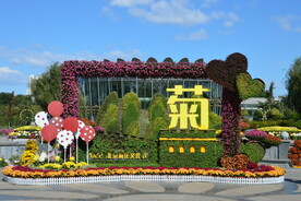 公园风景 