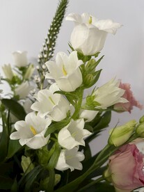 鲜花