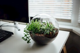 盆栽造景